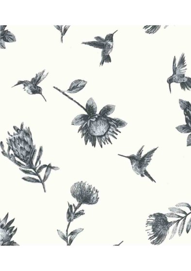 FYNBOS PROTEA BLACK9